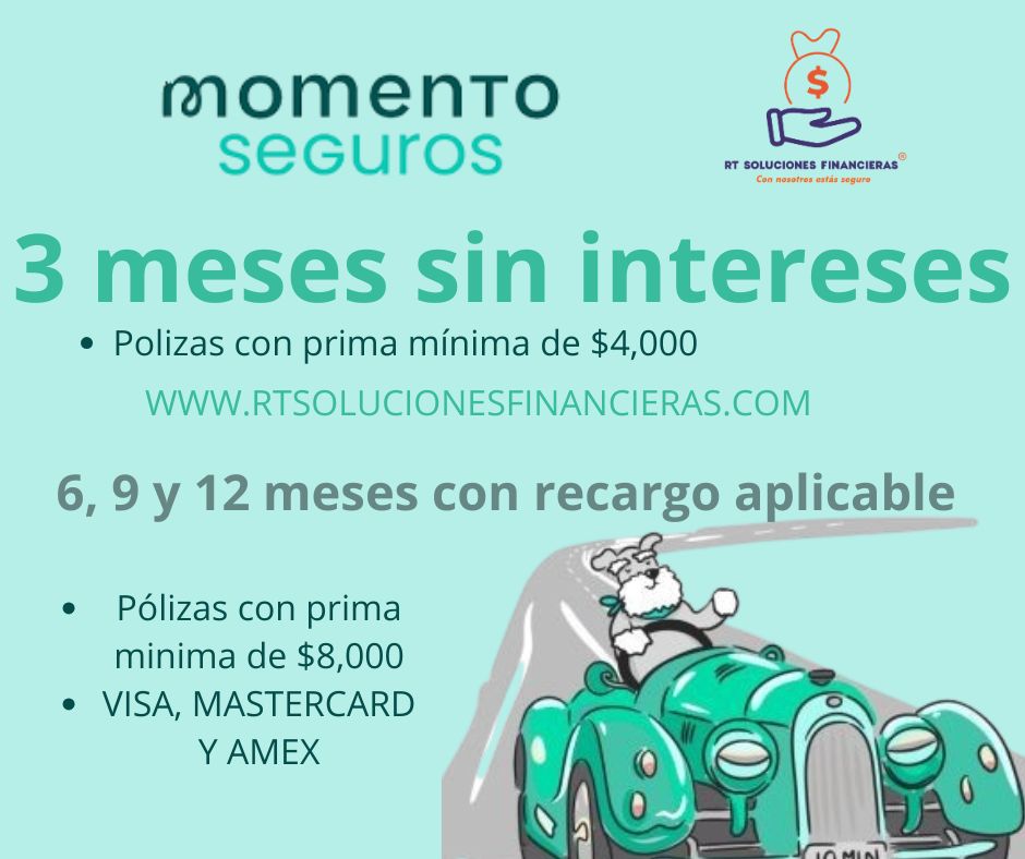 WhatsApp Image 2026-02-16 at 5.01.05 PM